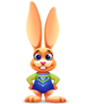 Jackrabbit Gymnastics logo