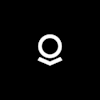 Palantir Gotham logo