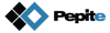 DATAmaestro logo